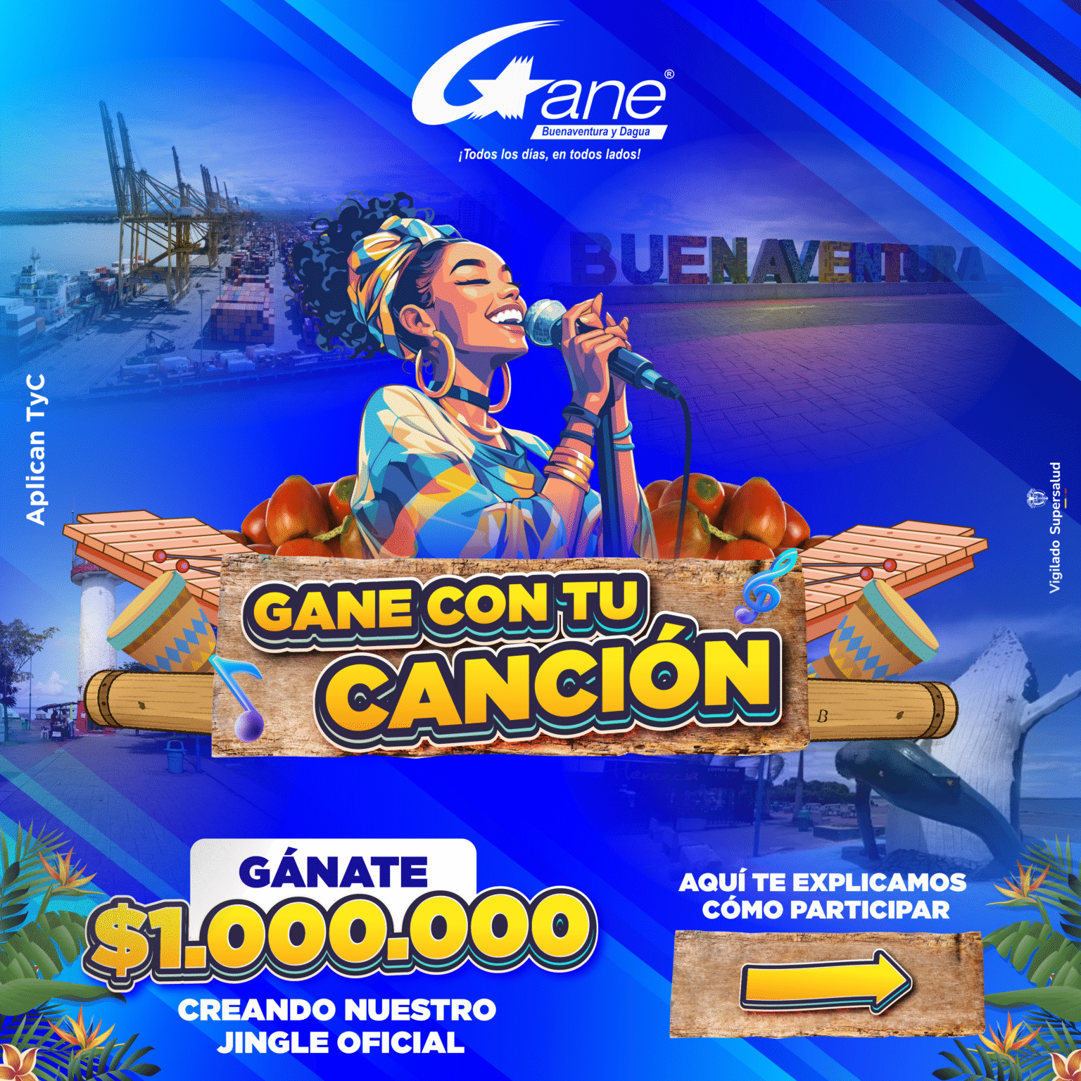 CAMPAÑA JINGLE
